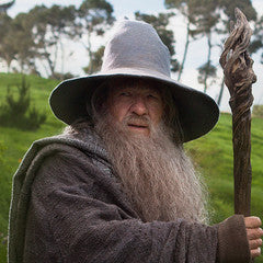 Gandalf The Wizard